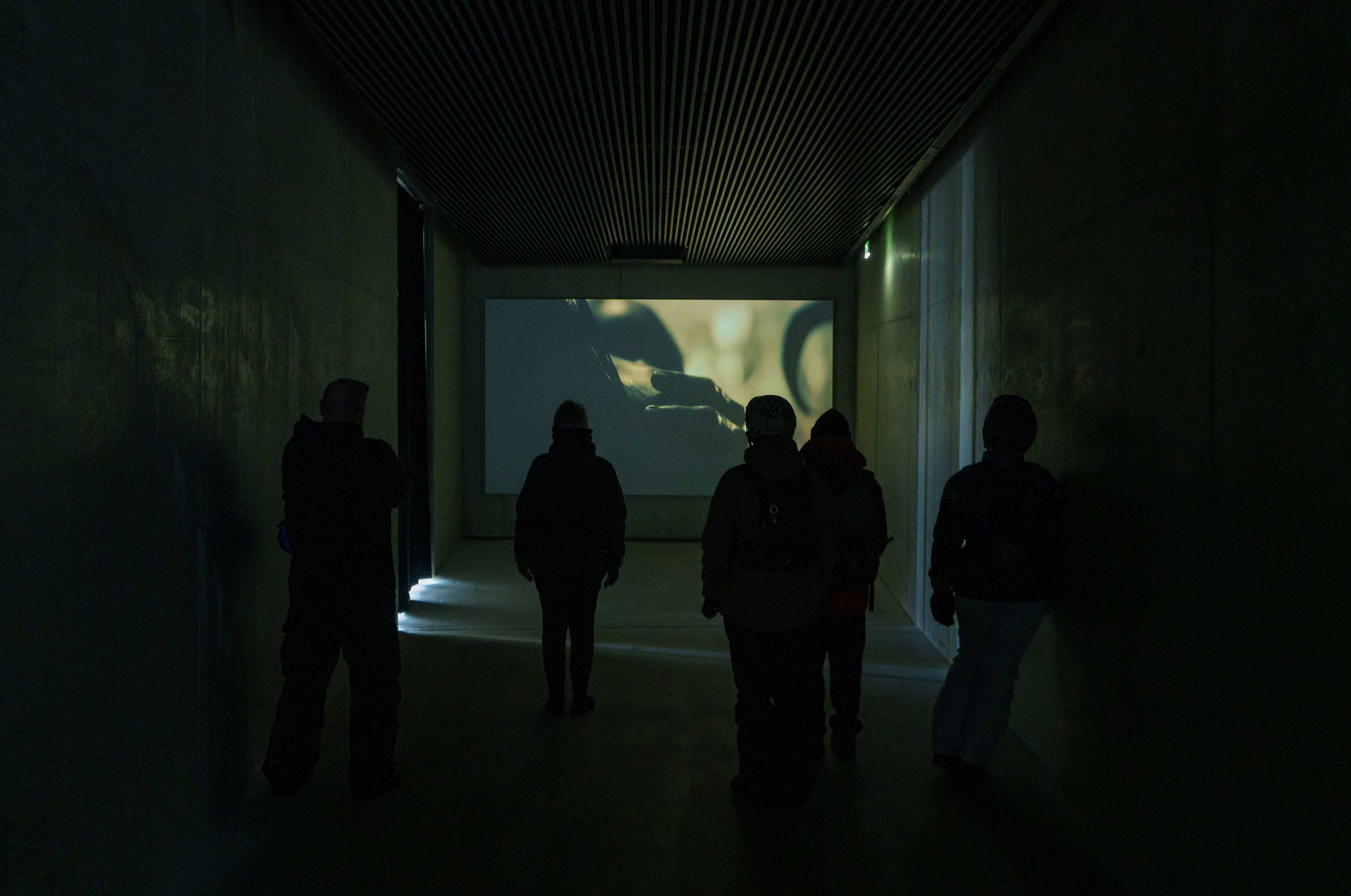 The silhouette of five people standing in a bare room facing a large screen.